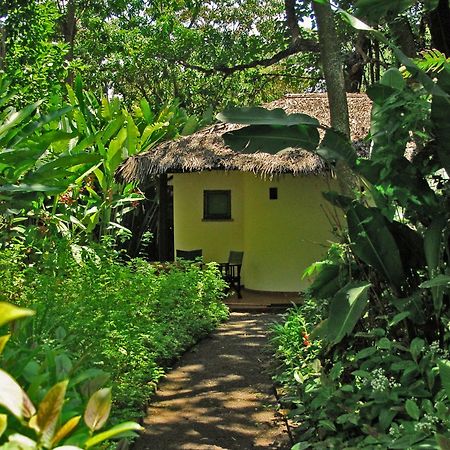 Moivaro Coffee Plantation Lodge Arusha Exterior photo